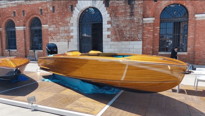 Qual a Melhor Madeira para Construir Barcos? Descubra a Madeira de Paulownia